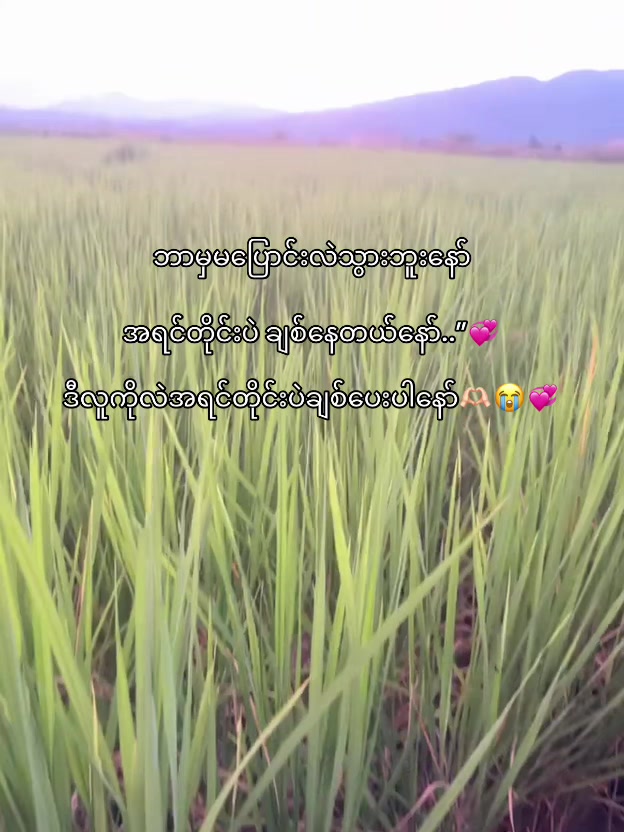 @𝒦𝒶𝒾