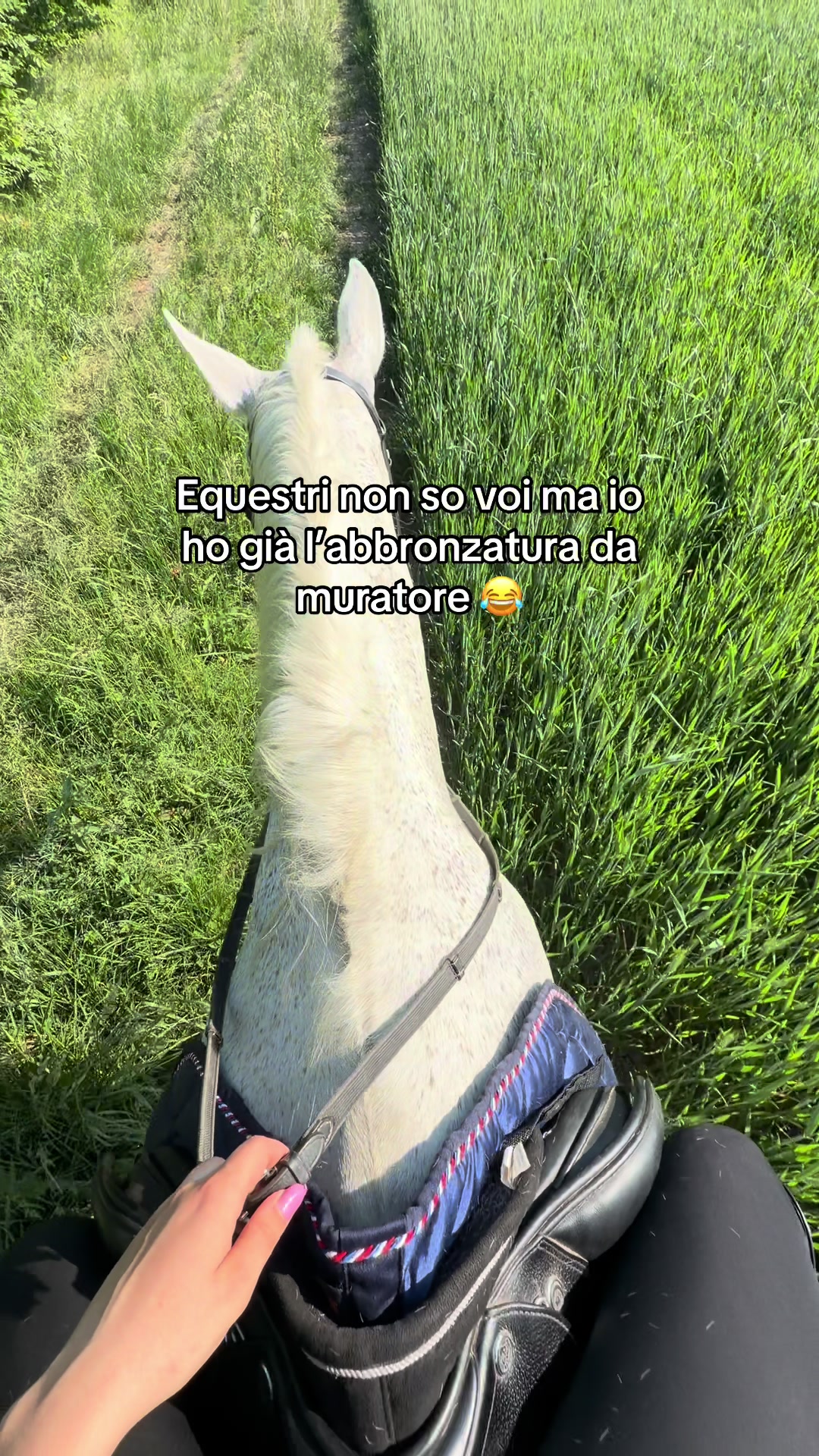 @Marta 🐴