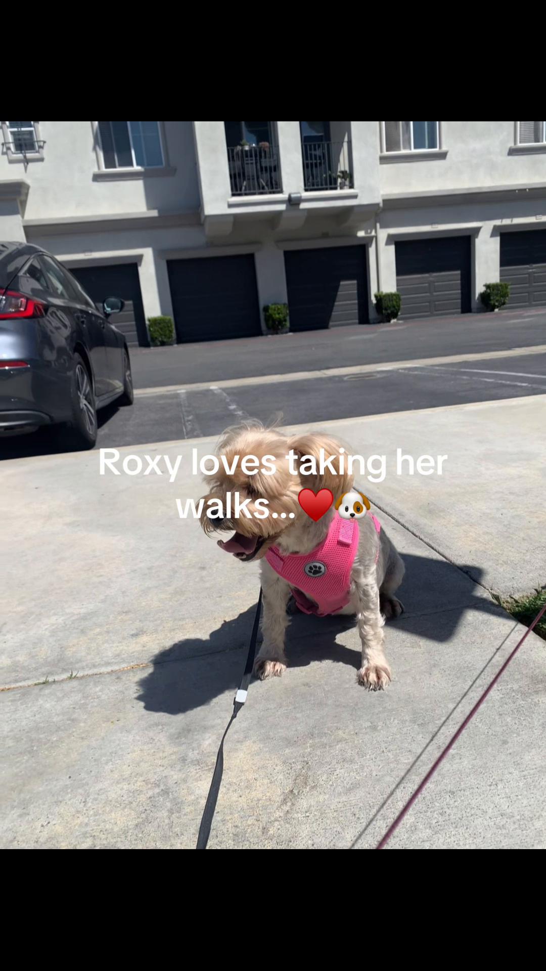 @ameliawheatley2