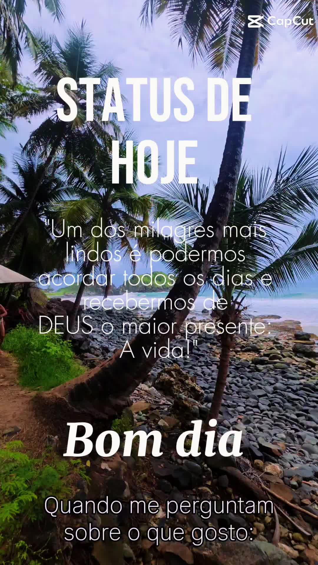 @Djalma Junior