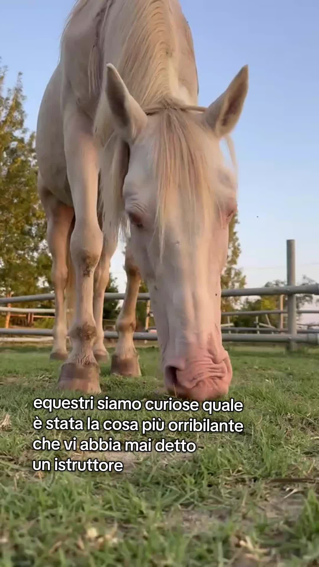 @Miky&Marty