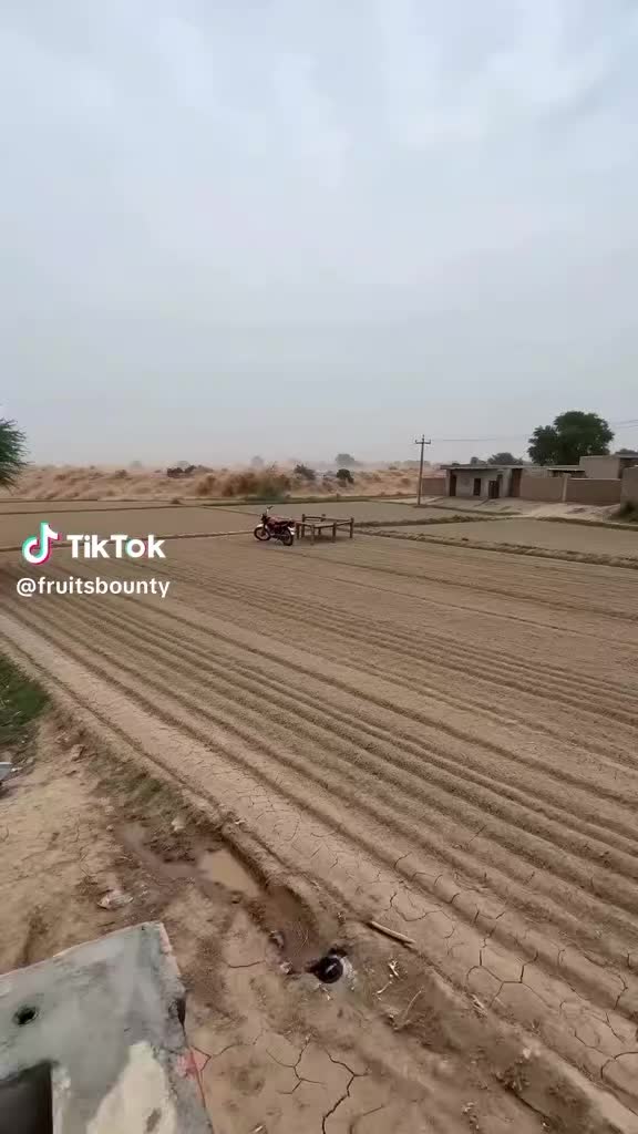 @hamzakhanh04