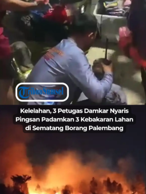 @Tribun Sumsel