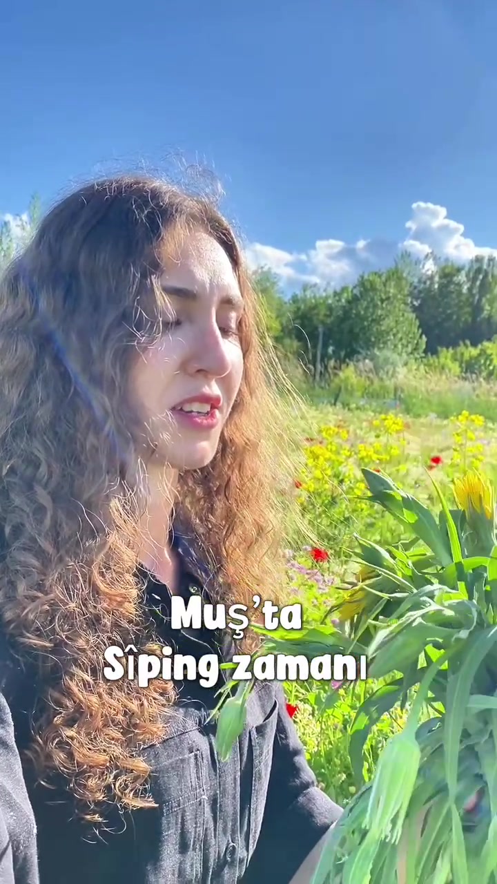 @Ronahi