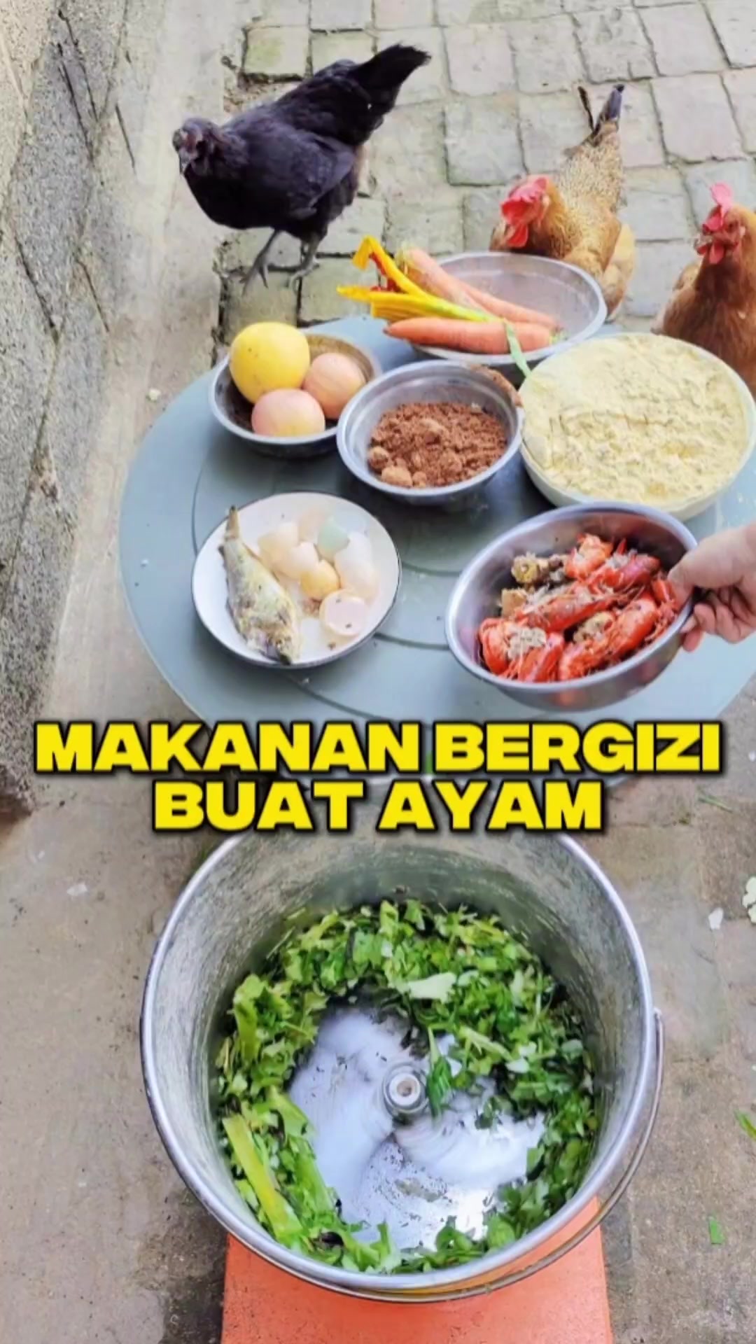 @Ardian Galih 🐜