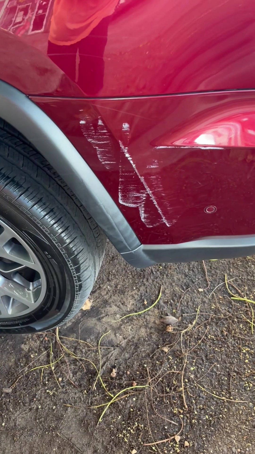 @wipeoutdetailing