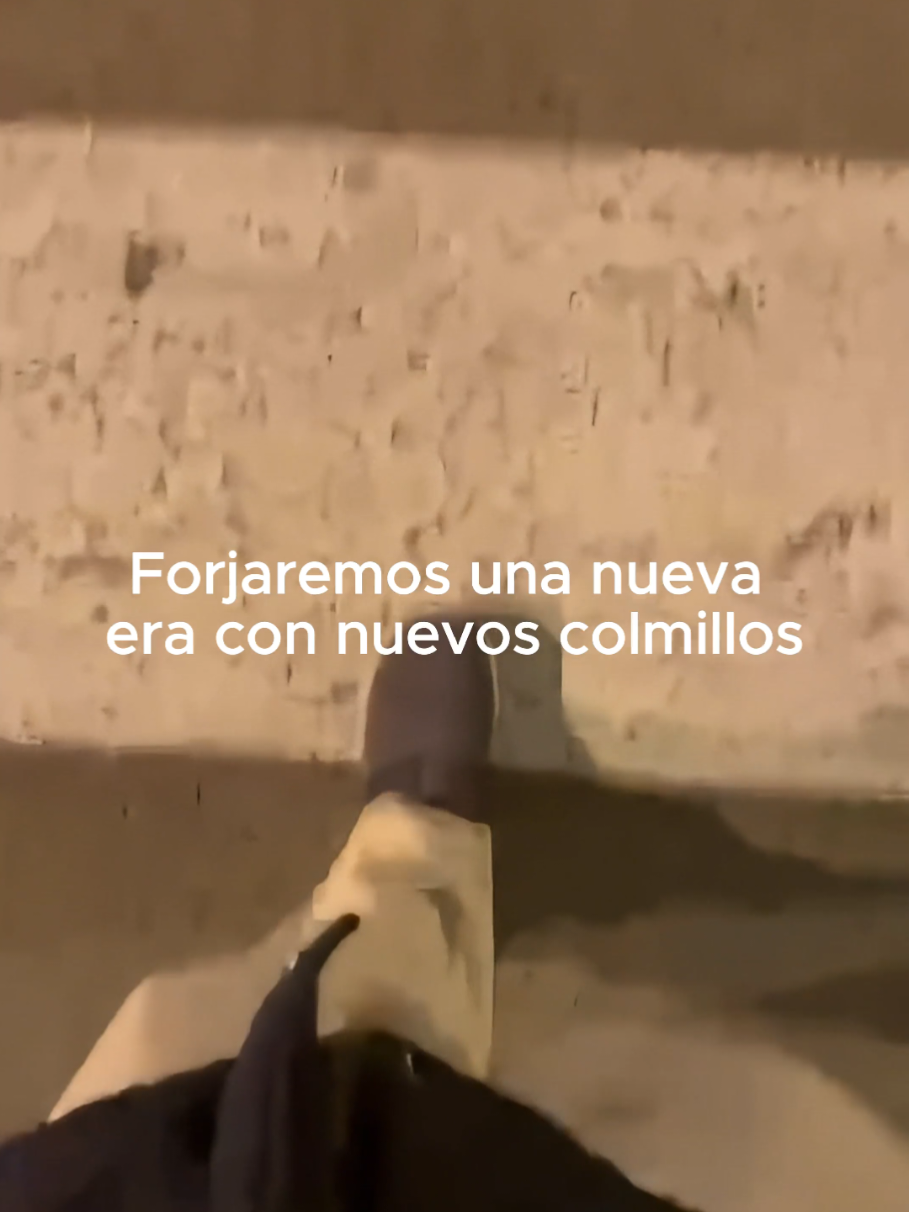 @Tamauta