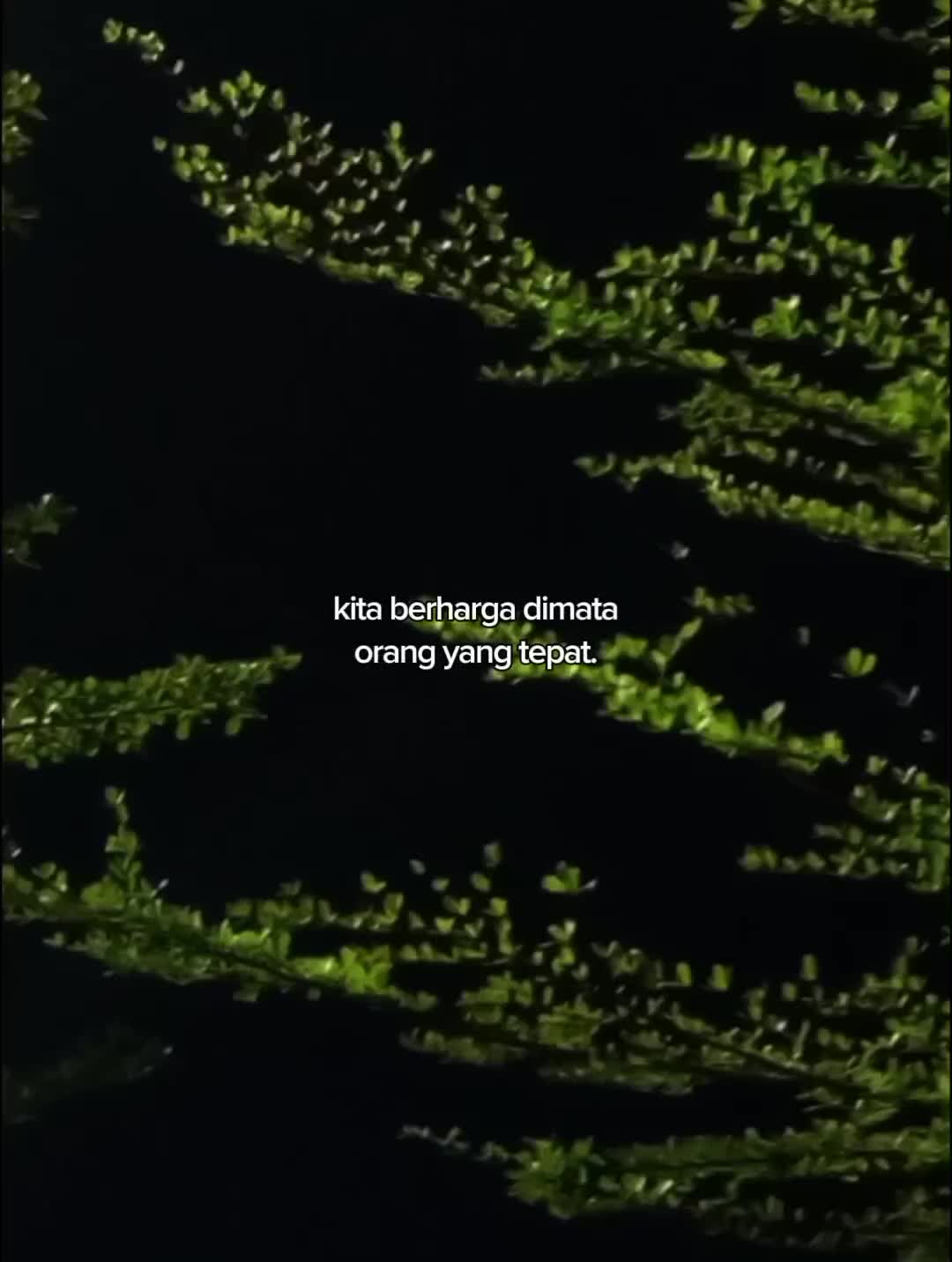 @𝘾𝙤𝙧𝙚𝙩𝙖𝙣 𝙇𝙤𝙥𝙖𝙣𝙜