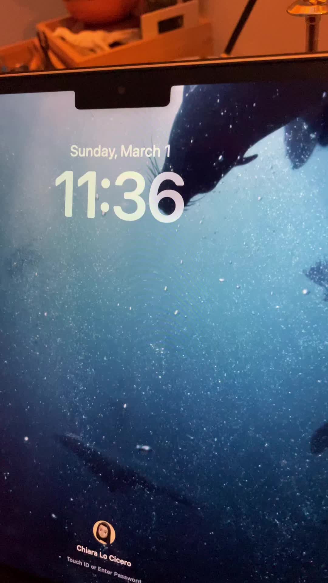 @chiara𓆝 𓆟 𓆞
