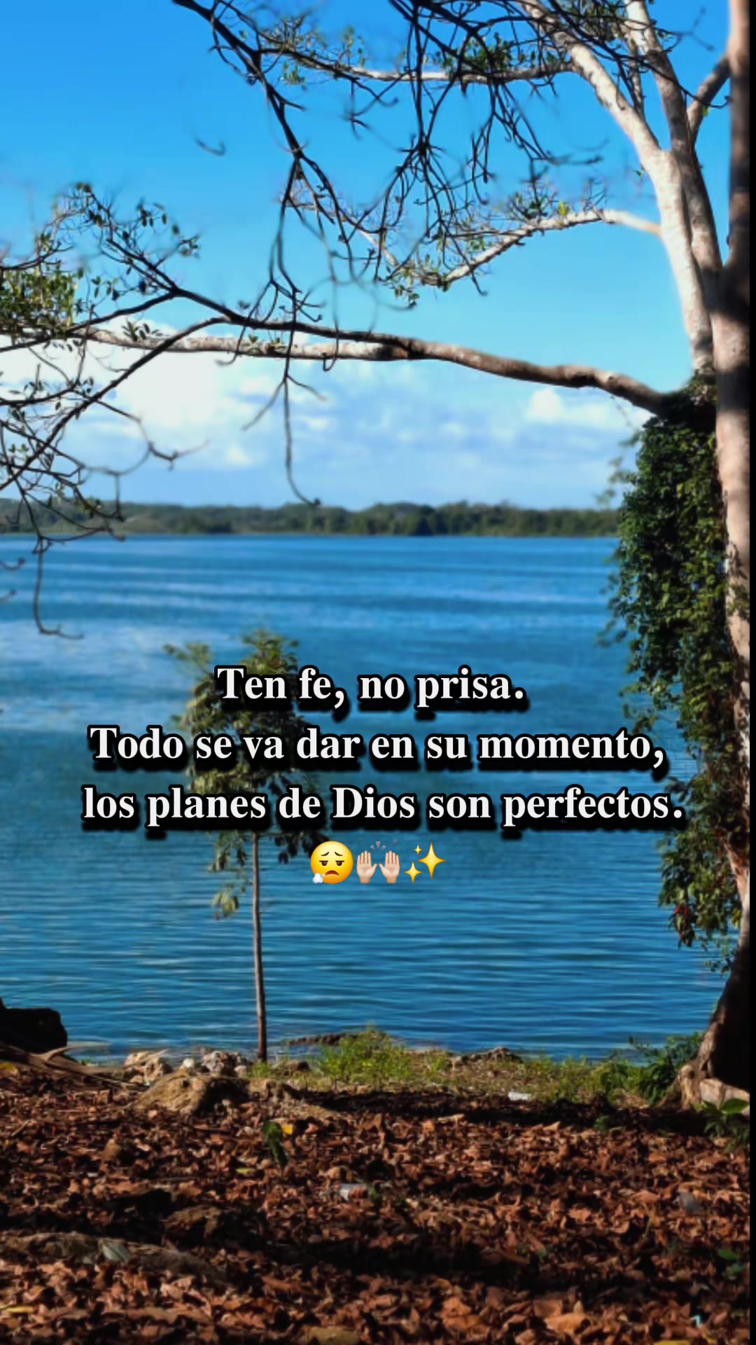 @🦋