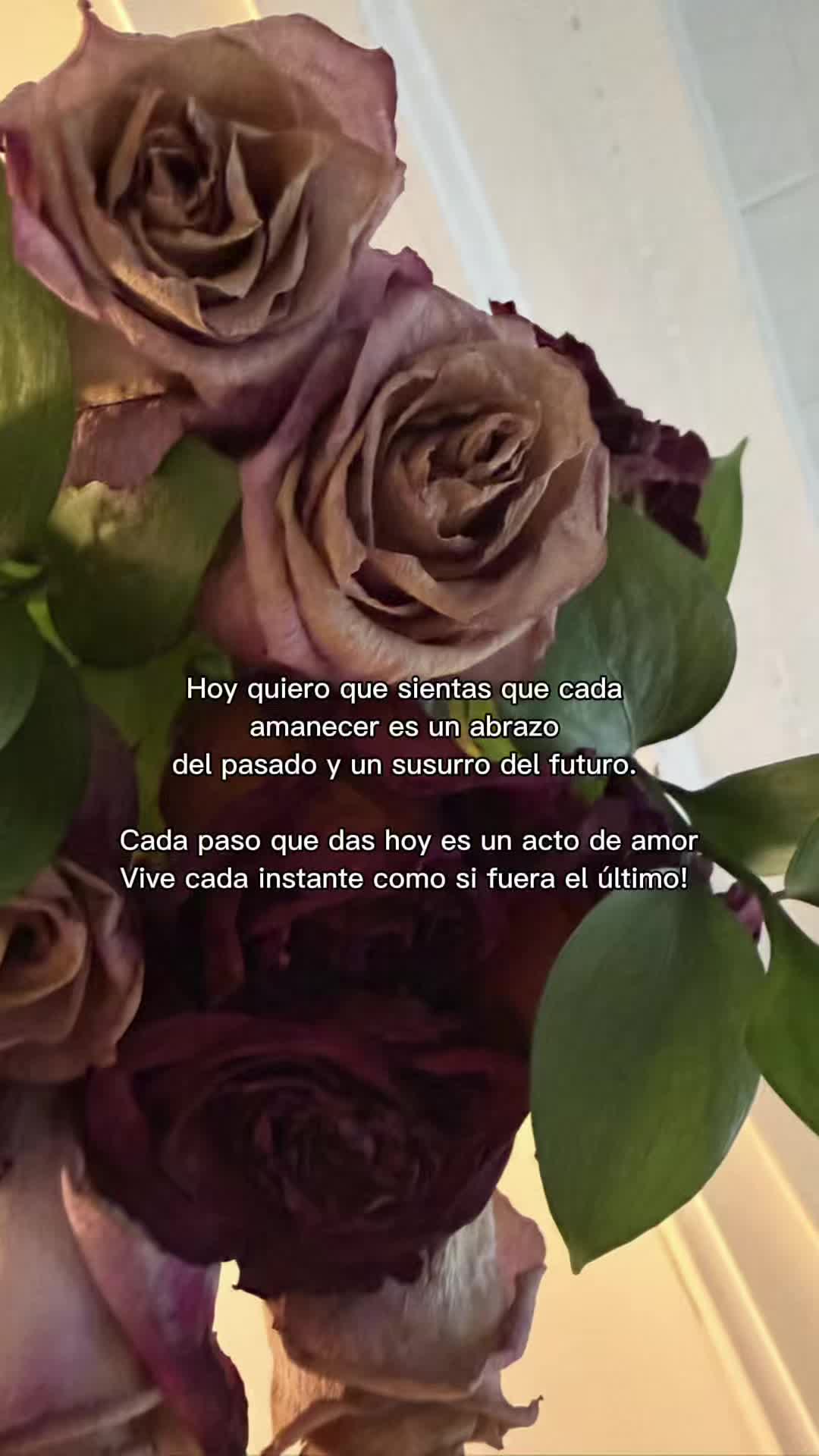 @𝑀𝒾 𝓈𝓊𝓈𝓊𝓇𝓇𝑜