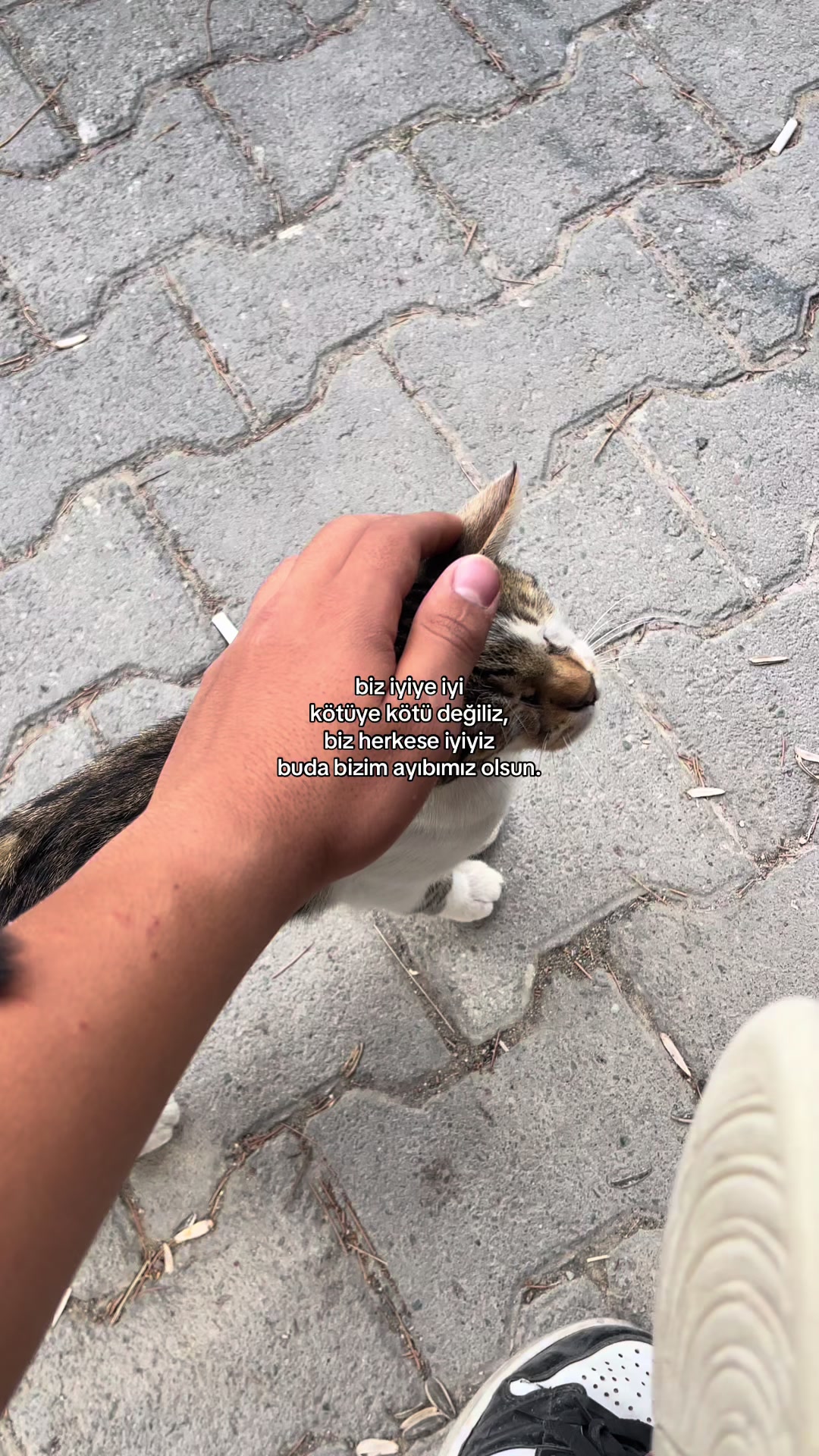 @bakiyogozlerimanaali