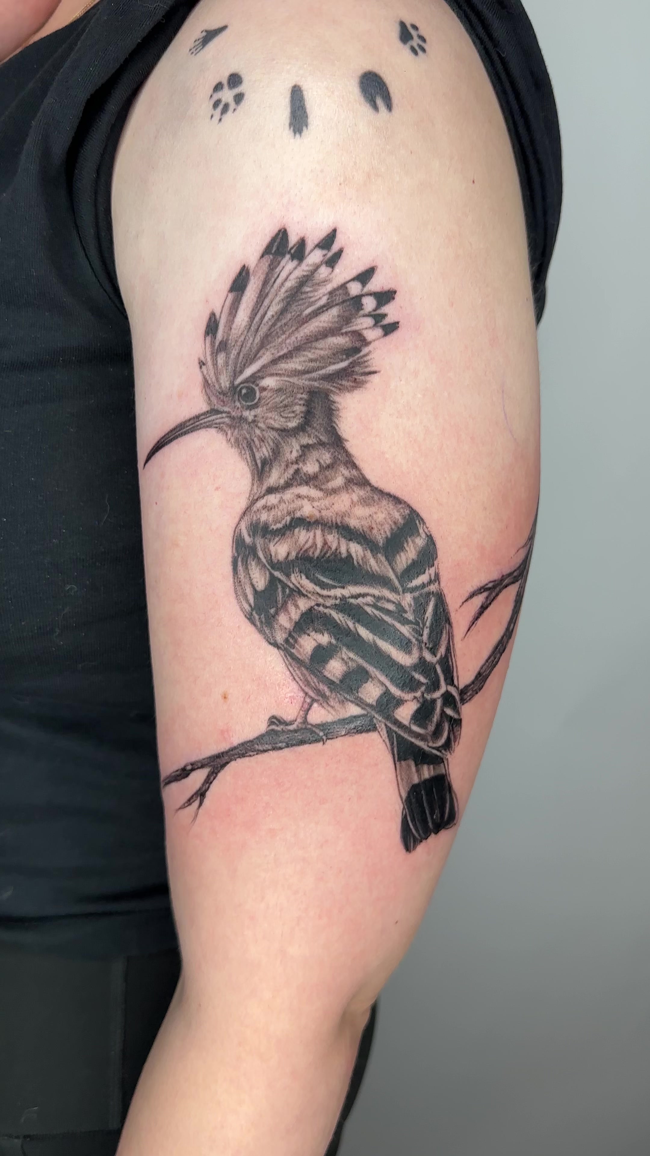 @Sam tattoo Jerusalem