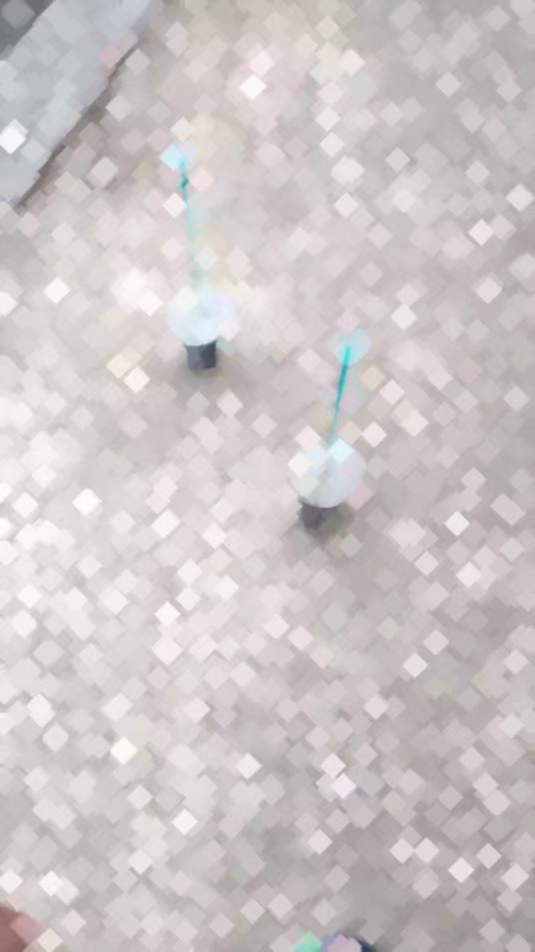 @🎀✮͢🦋⃟ S̷k̷p̷ ̷U̷m̷a̷r̷≛⃝ 🦋