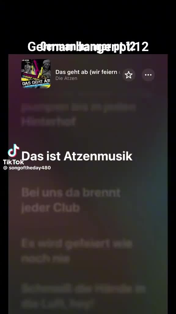 @🇩🇪Schlagerpunk🇩🇪
