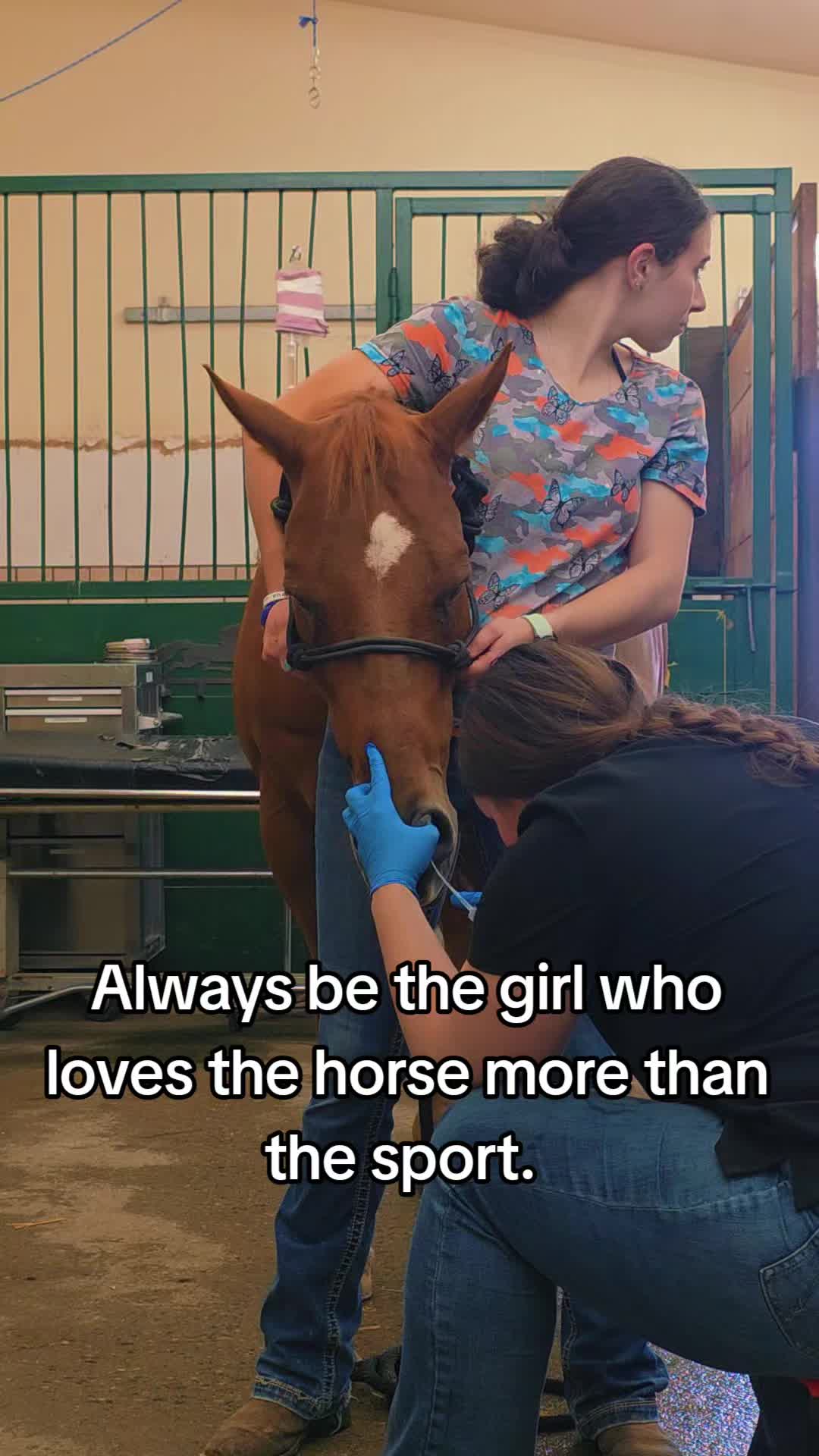 @🐴 ColdMountainRanch 🏇