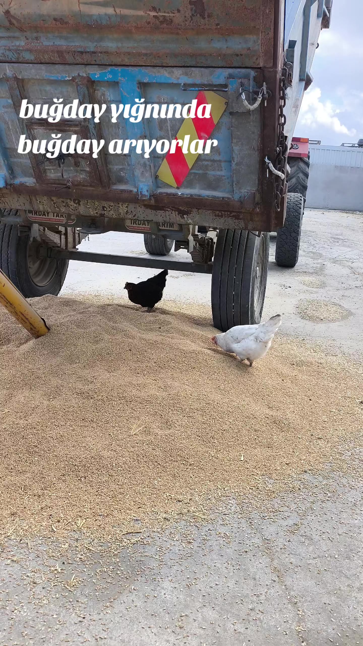 @Barış🥷🏻