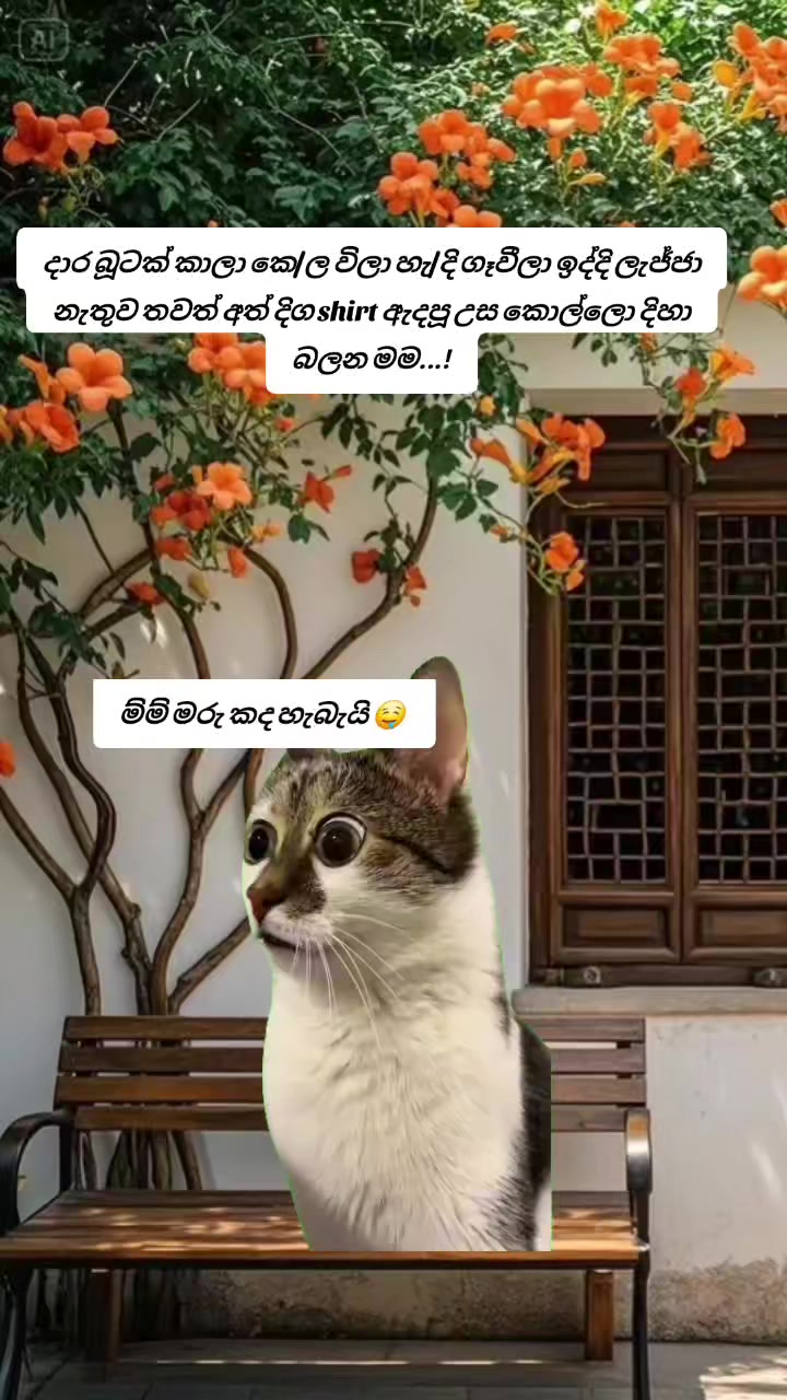 @꧁💓🌸 සිතු✾𝄟͜ 🌸💓 සිතු✾𝄟͜ ꧂