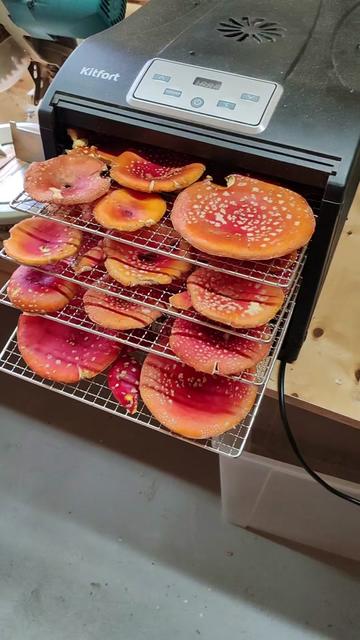 @Микродозинг