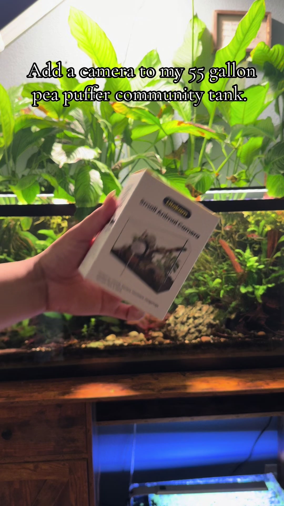 @dannys_fish_and_plants
