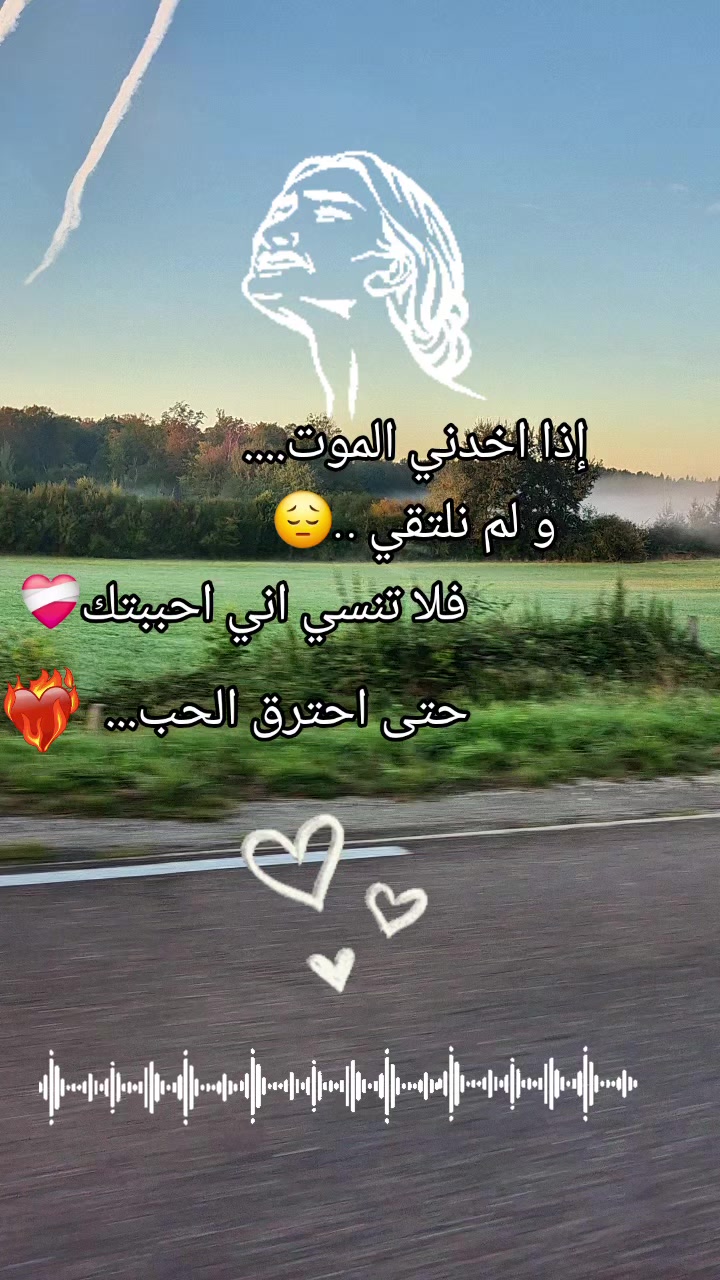 @sidahmed77❤️🩹31