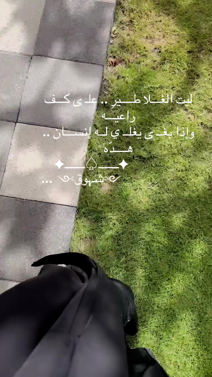 @شوق الشيباني 𓃴♡: