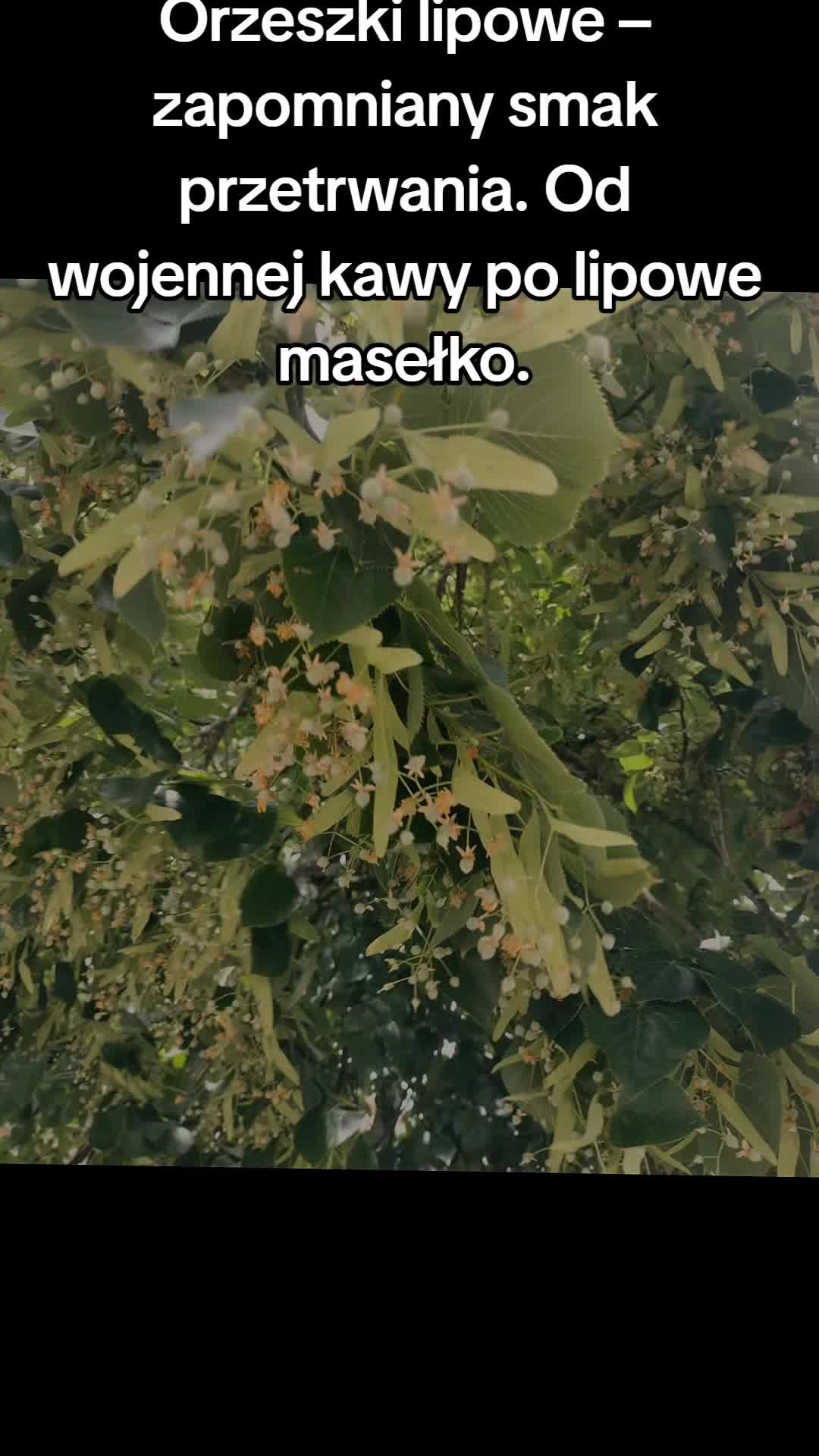 @Zielsko Szeptuchy