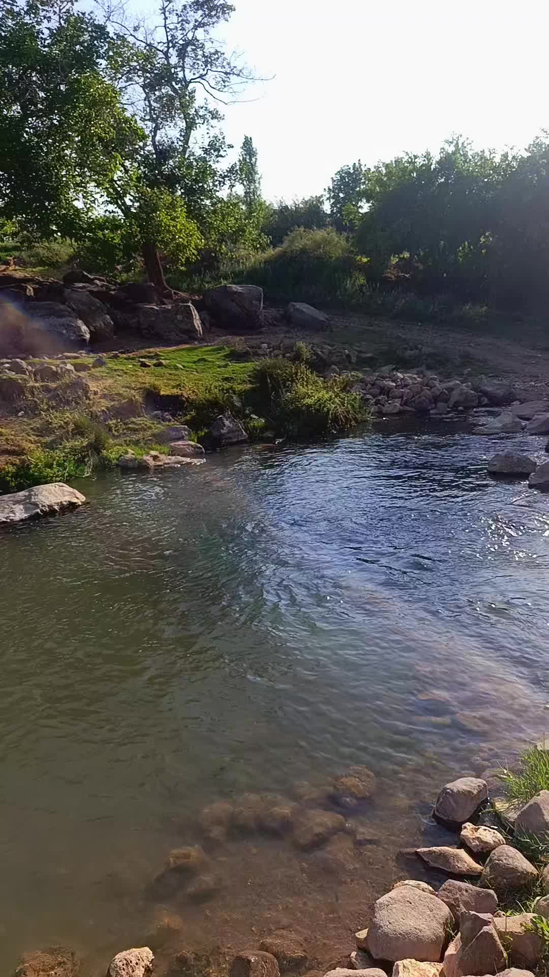 @Adem Göksu 💙