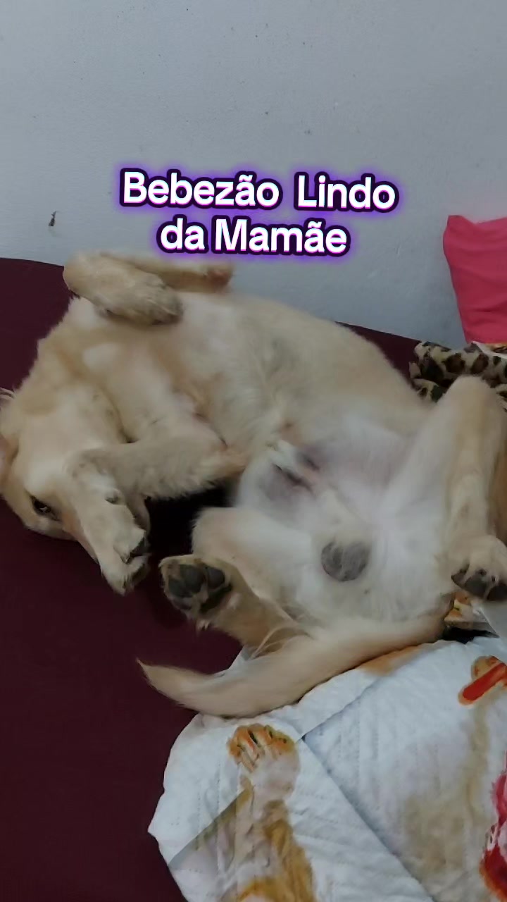 @Tropa da Fatinha🐶🐱🐎...