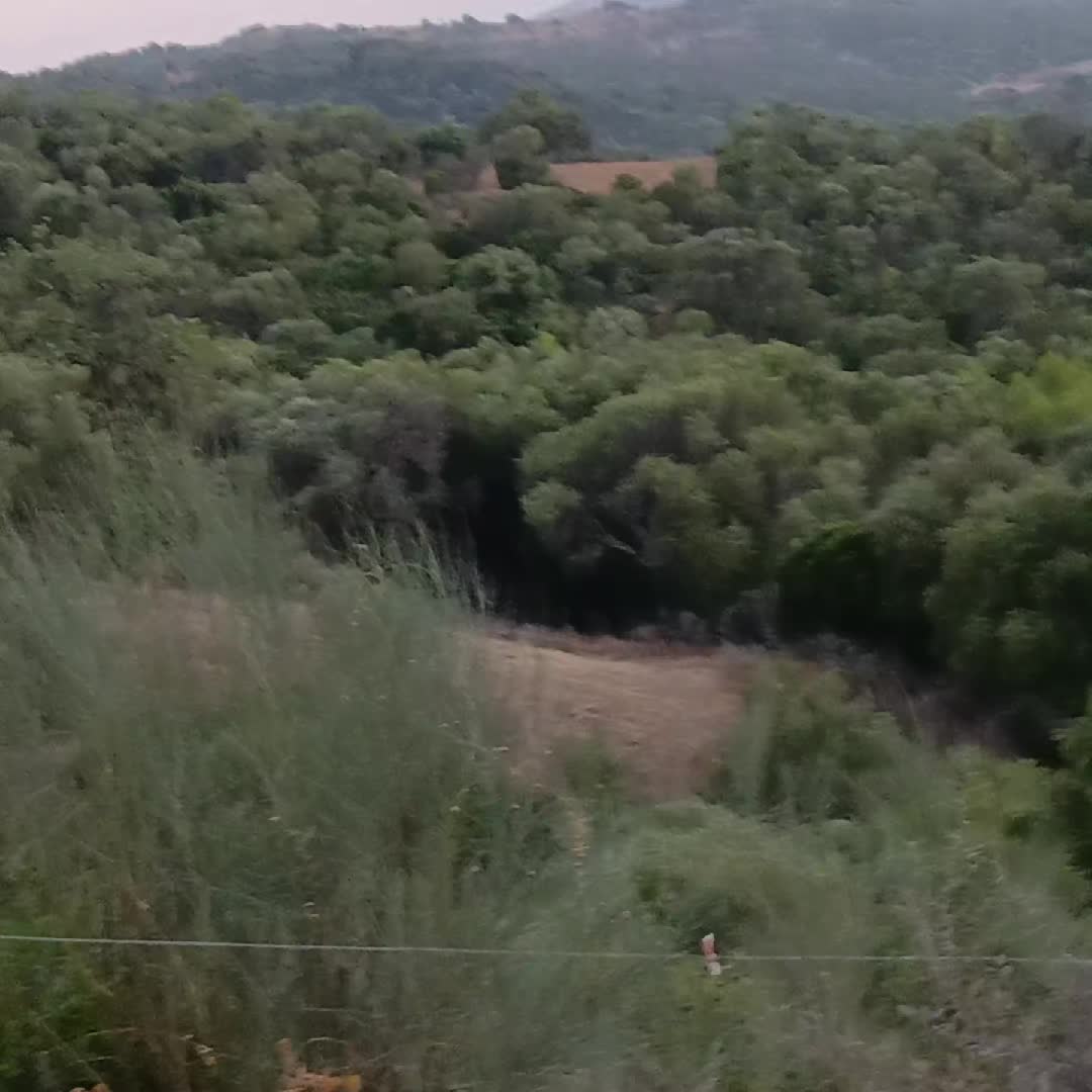 @🇪🇸Tequila-Finca🇪🇺