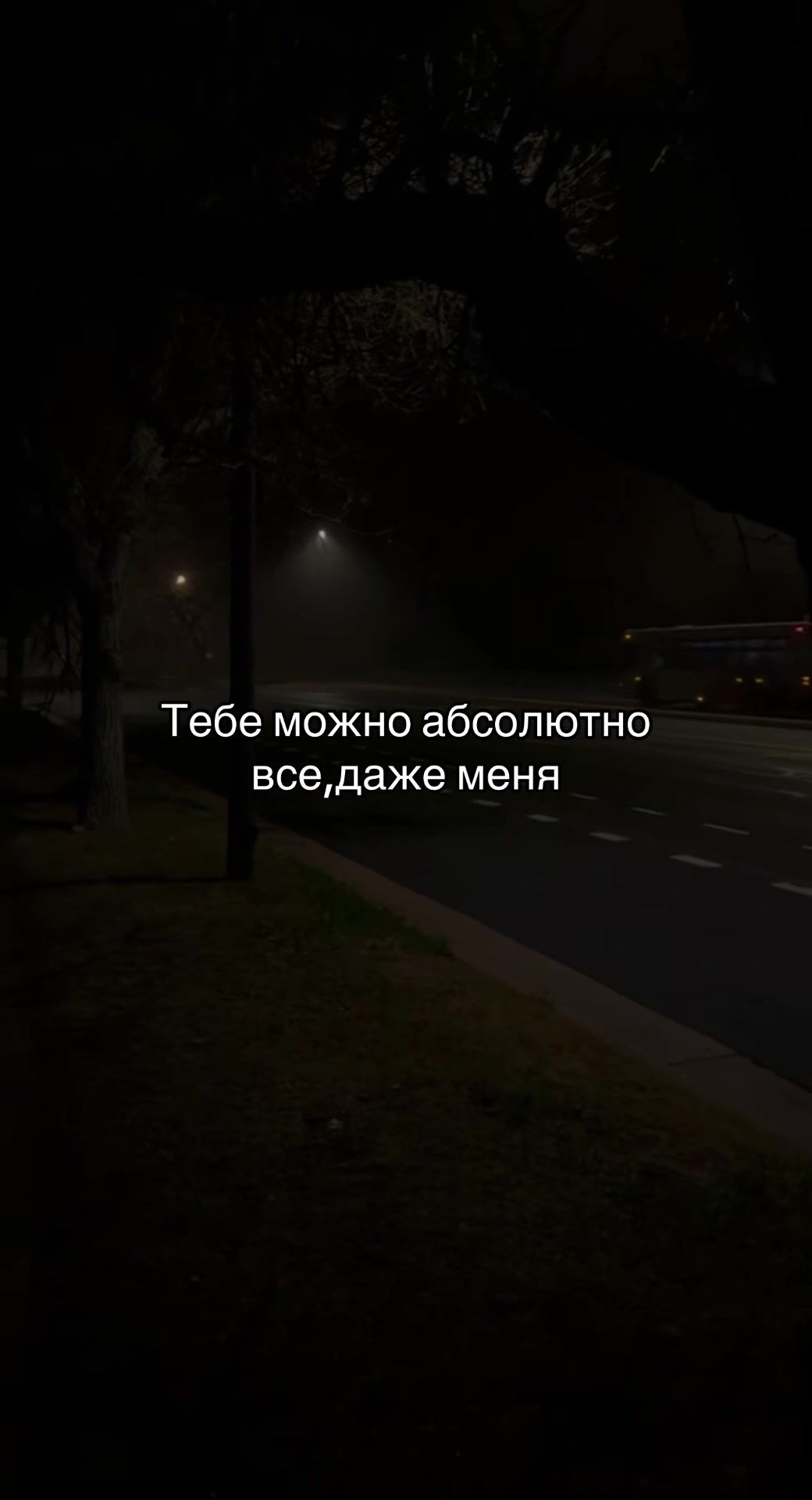 @🦇mindsnaps666🦇