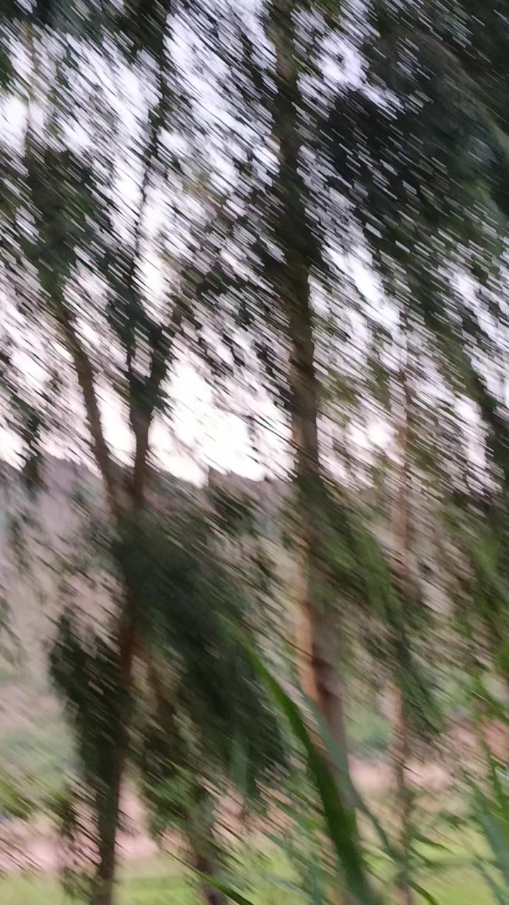 @🚩𝑲ᚐ𝑹 < 