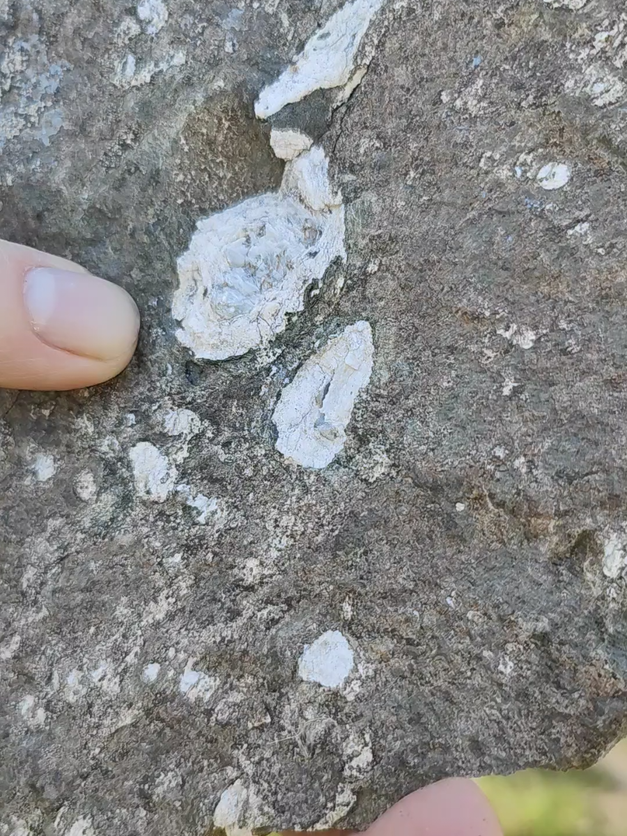 @Geological George