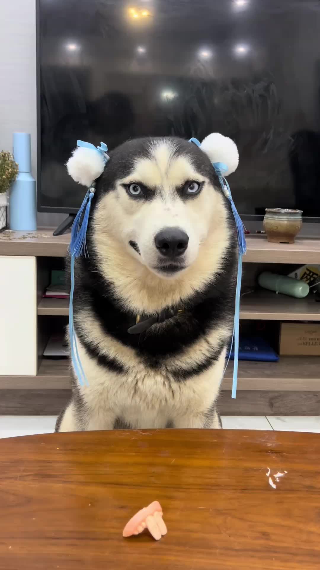 @Maxxxxxxx