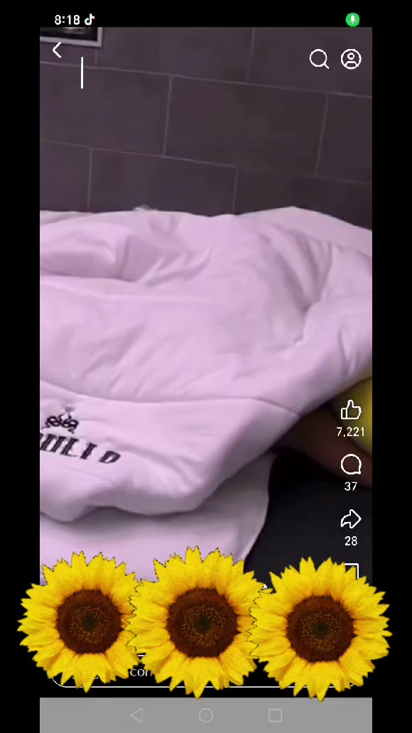 @clips de la mansi&oacute;n 🗣️😈📲