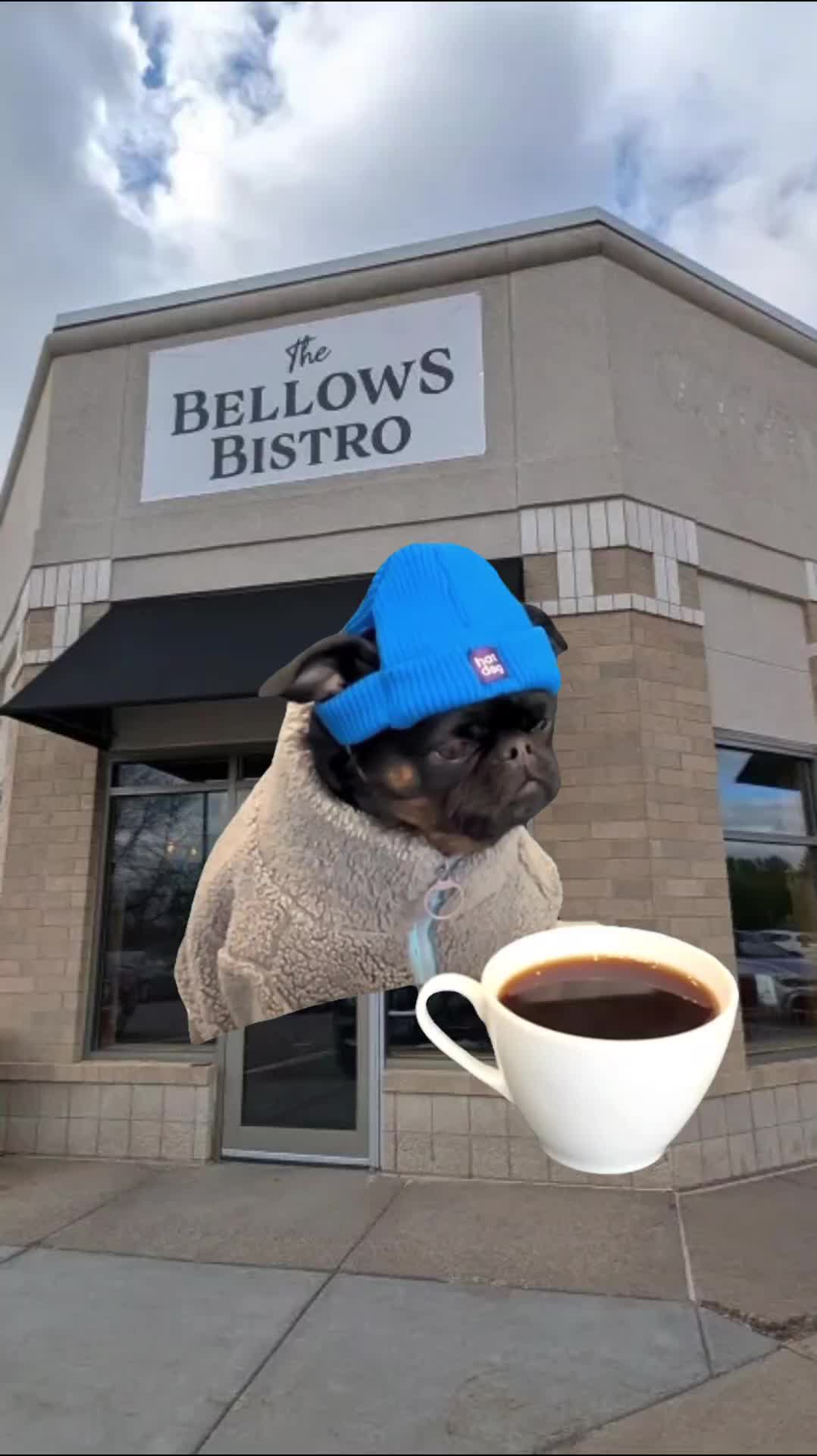 @The Bellows Bistro