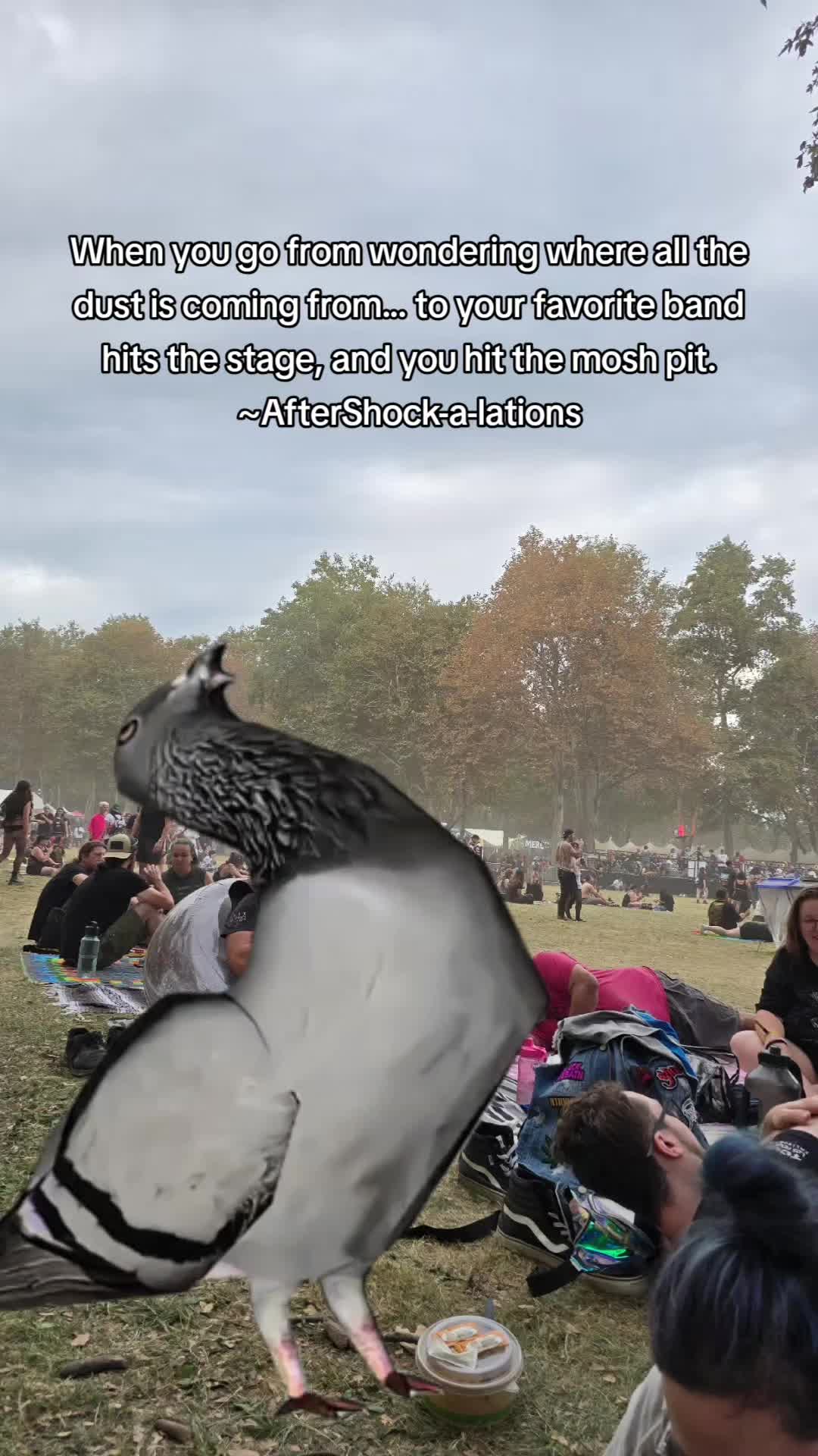 @Tank3rZ3r0