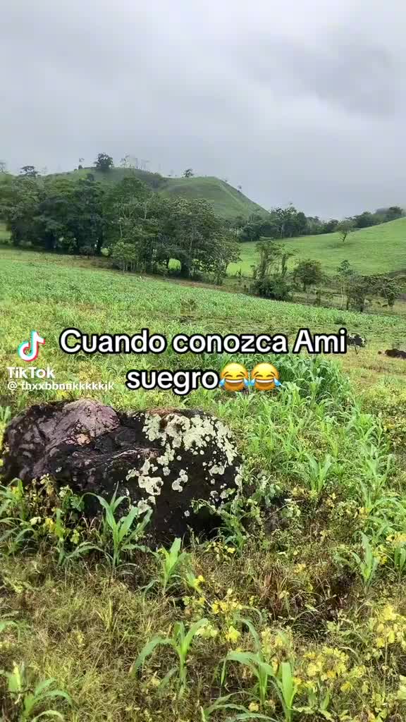 @Rodriguez