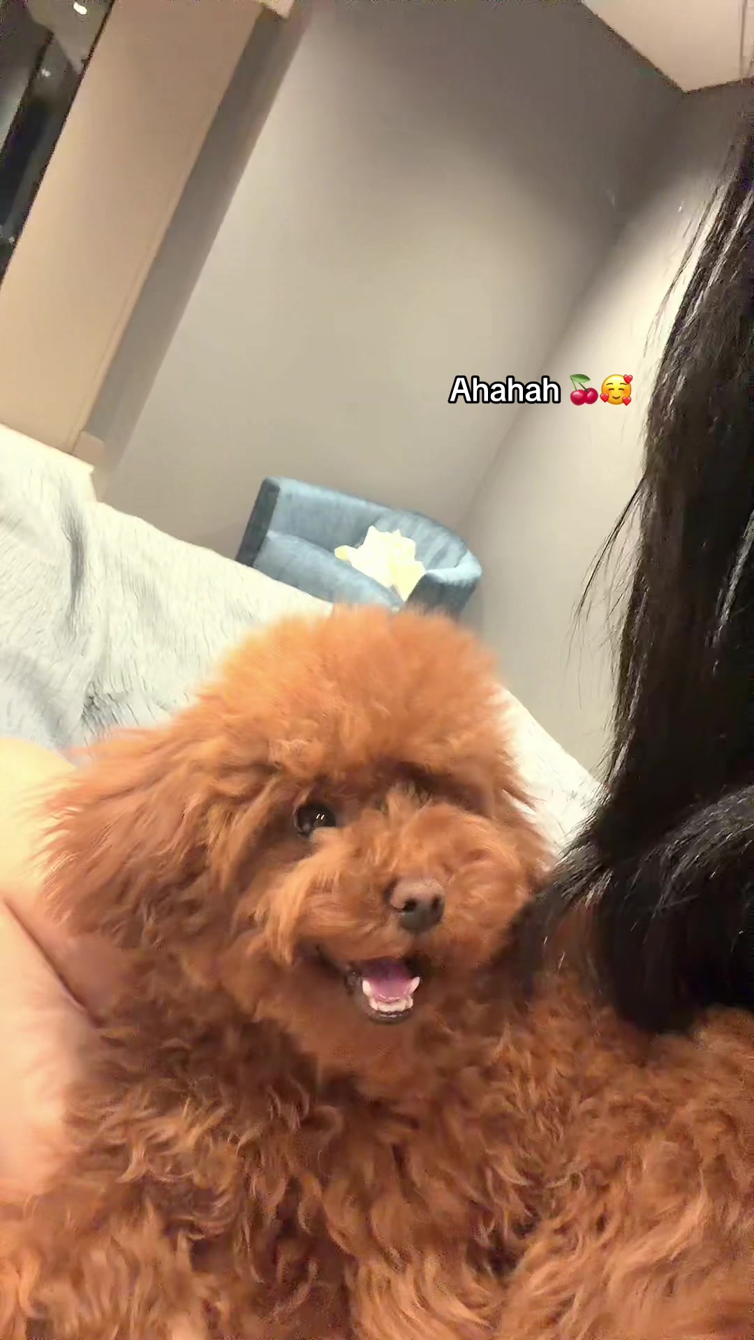 @sinembhr__