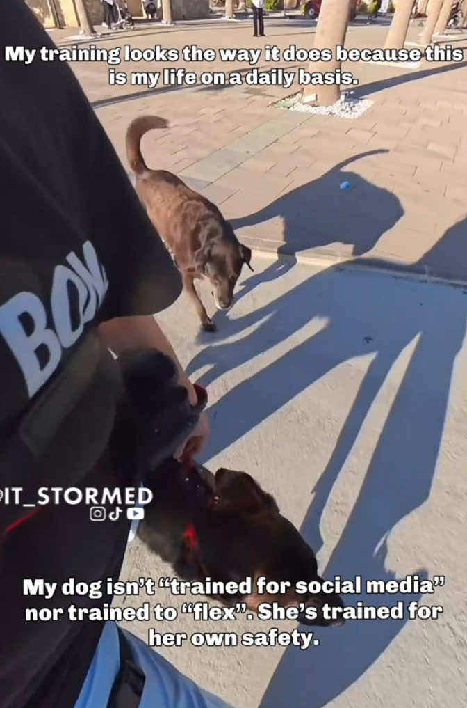 @it_stormed