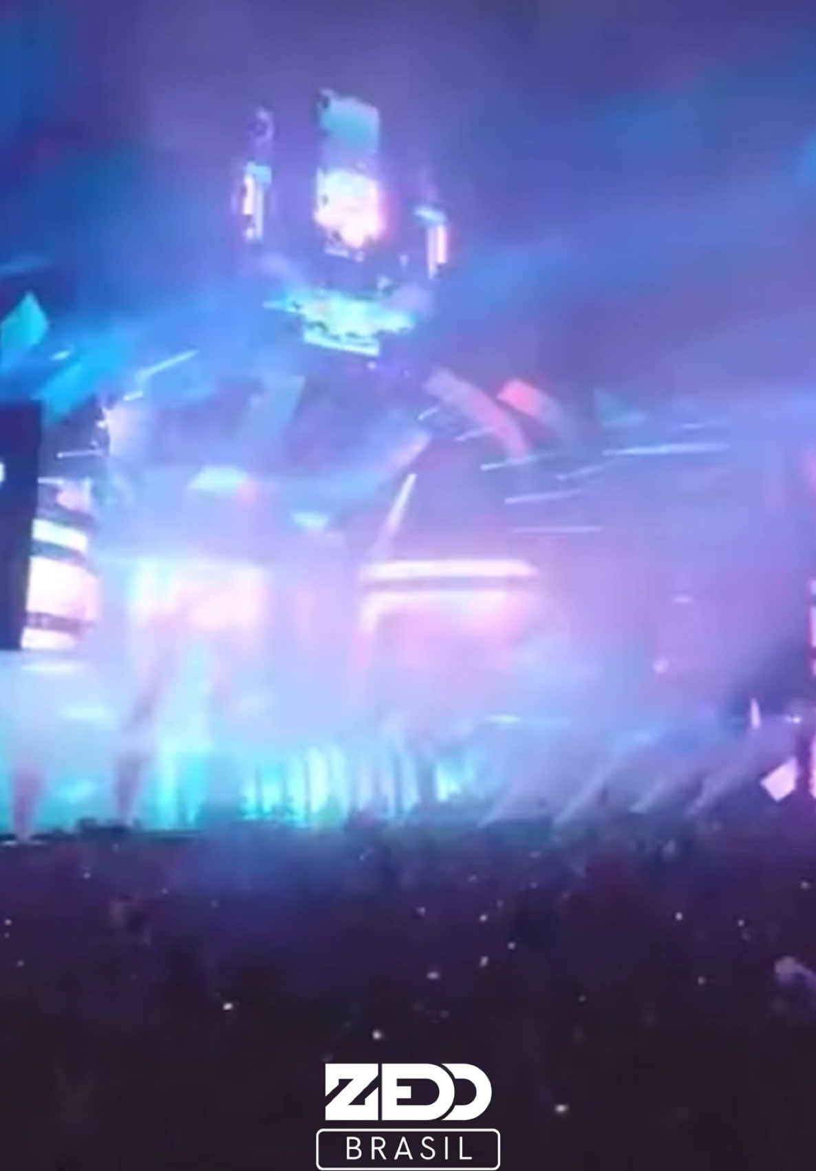 @Zedd Brasil