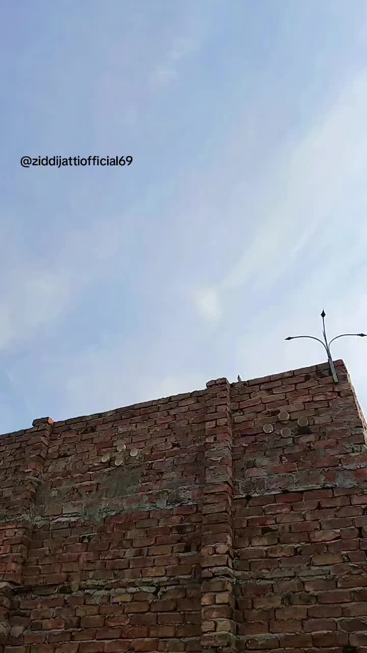 @𝓜𝘿.𝐙𝐢𝐝𝐝𝐢 𝐉𝐚𝐭𝐭𝐢