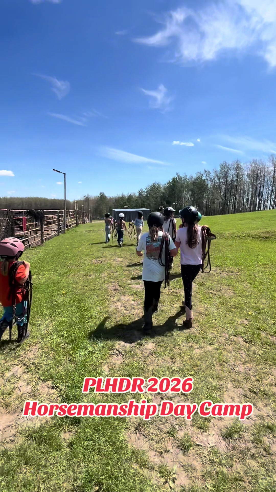 @Pigeon Lake Horse Drawn 🇨🇦