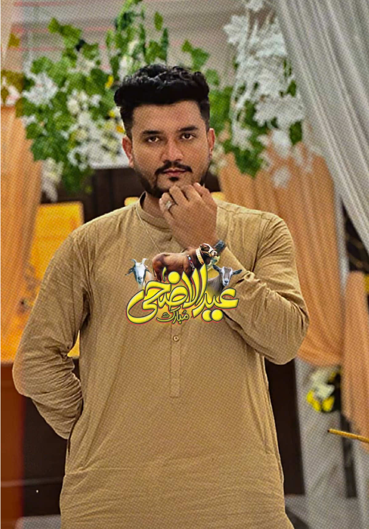 @Armaghan_Ali