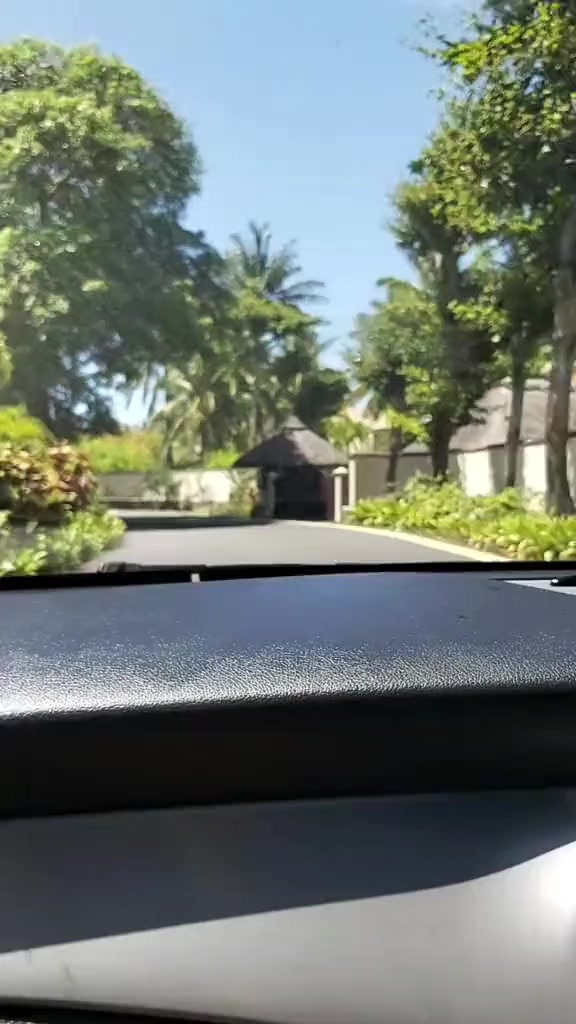 @Solo🇲🇺 🦤 🇲🇺