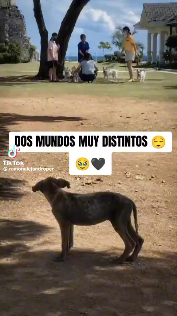 @JAVIER FERNANDO🪽🍭