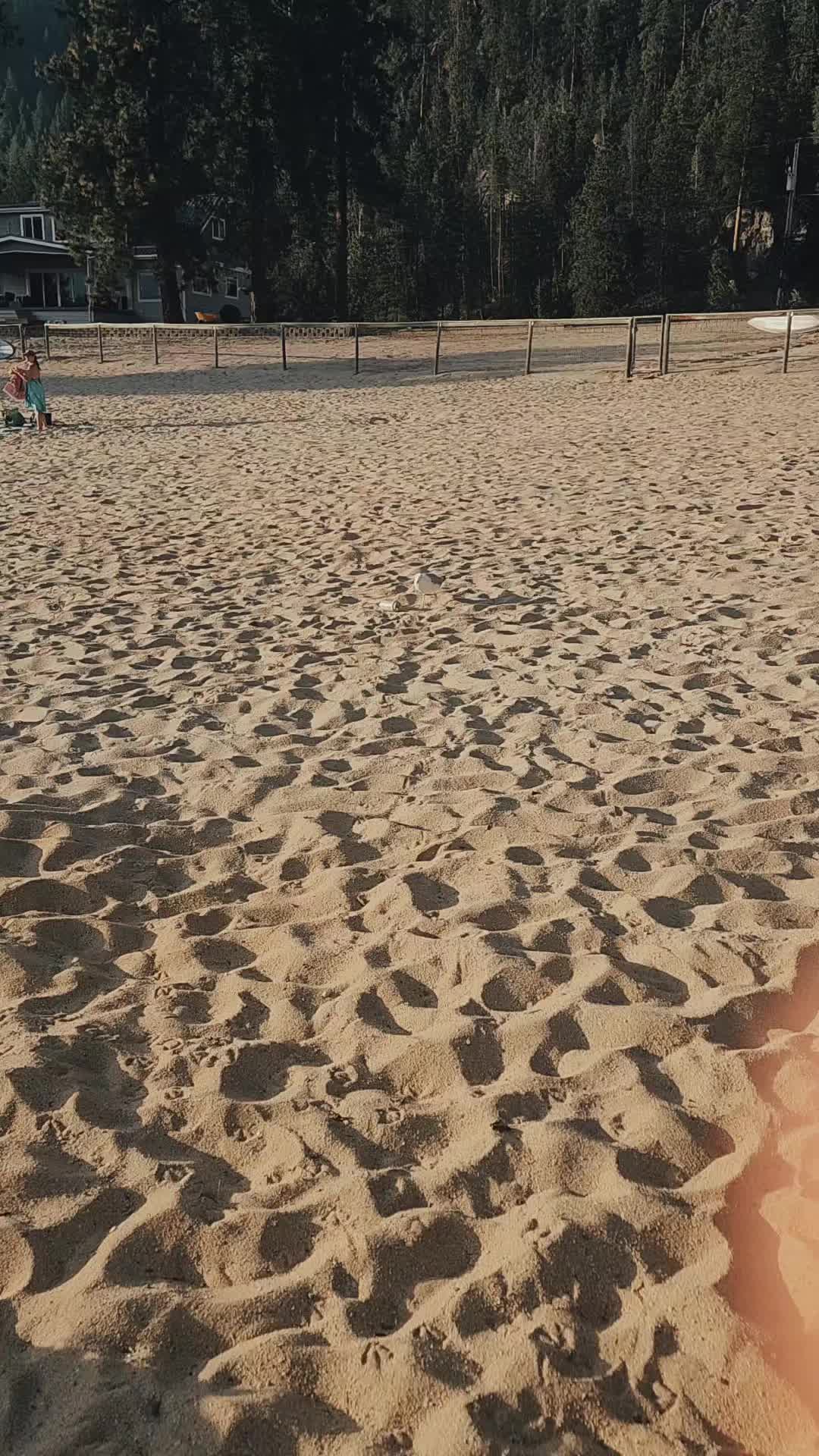 @beachpeachxo