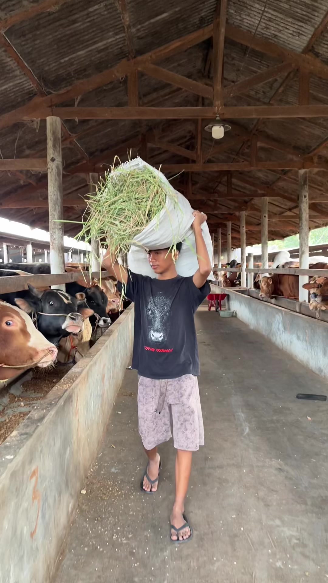 @Wisnu Farm Lampung