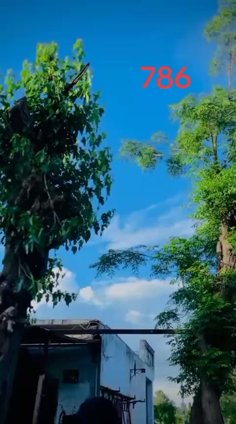@sarkar 786🤟&hearts;️🤟