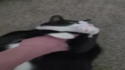 @Kat